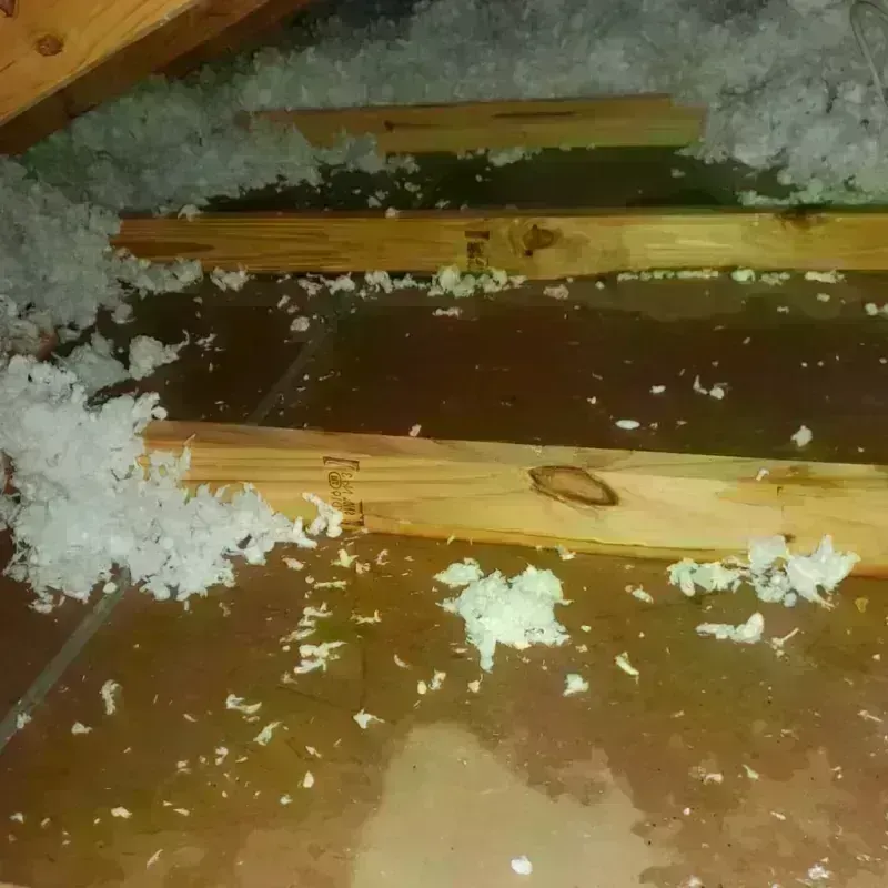 Attic Water Damage in Brandermill, VA